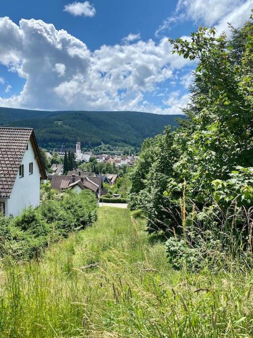 Exklusive 82 Qm Loftwohnung Mit Tiefgarage Und Sued-Balkon Zentral Titisee-Neustadt Exterior foto